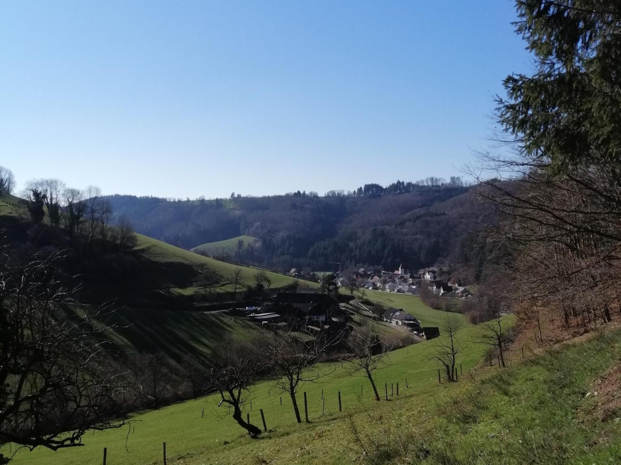 Ferienwohnung Am Spielberg Freiamt Esterno foto